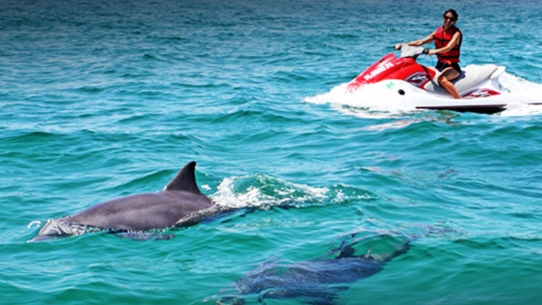 Cape Town Jet Ski Experience image 2