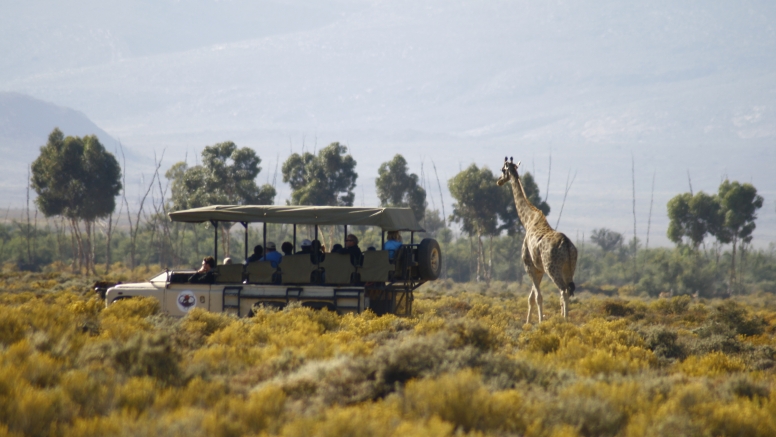 One Day Safari at Inverdoorn Safari Lodge & Game Reserve image 2