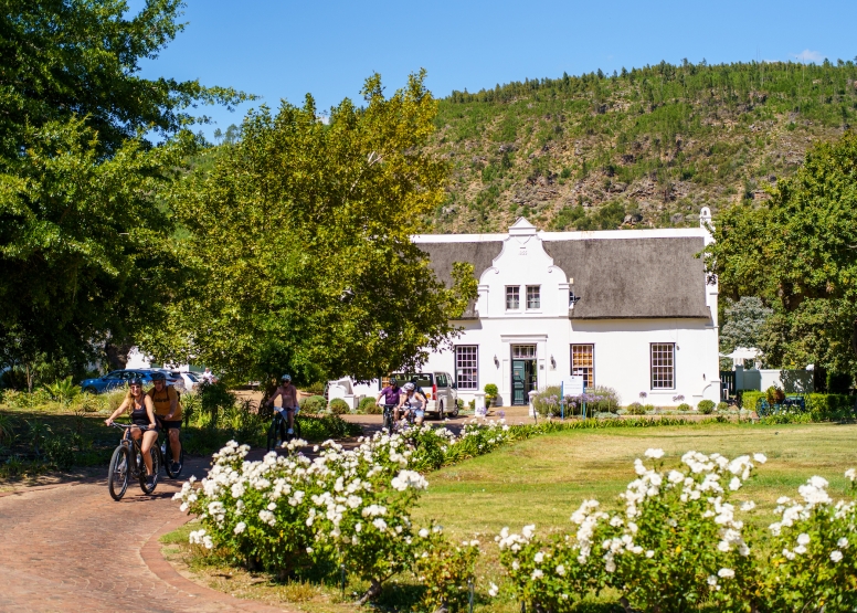 Franschhoek Half Day Winelands EBike Tour image 1