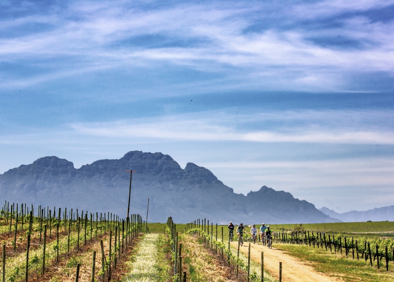 Stellenbosch Half Day Winelands EBike Tour image 5