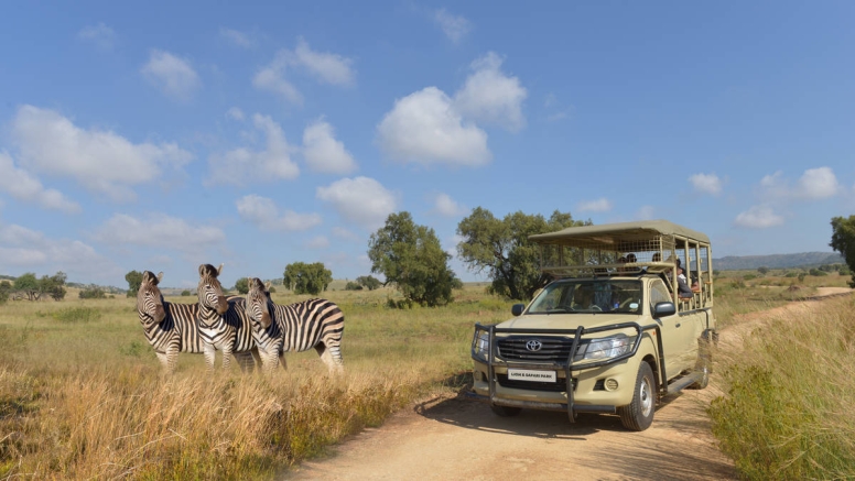 2 Hour Guided Safari Lion & Safari PArk image 6