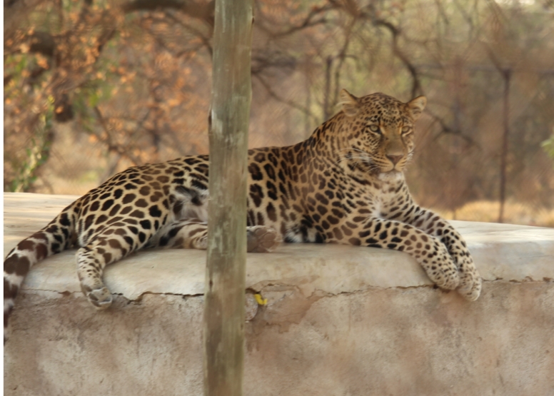 BLyde River Canyon and Moholoholo Wildlife Rehab Centre - 1 Day image 8