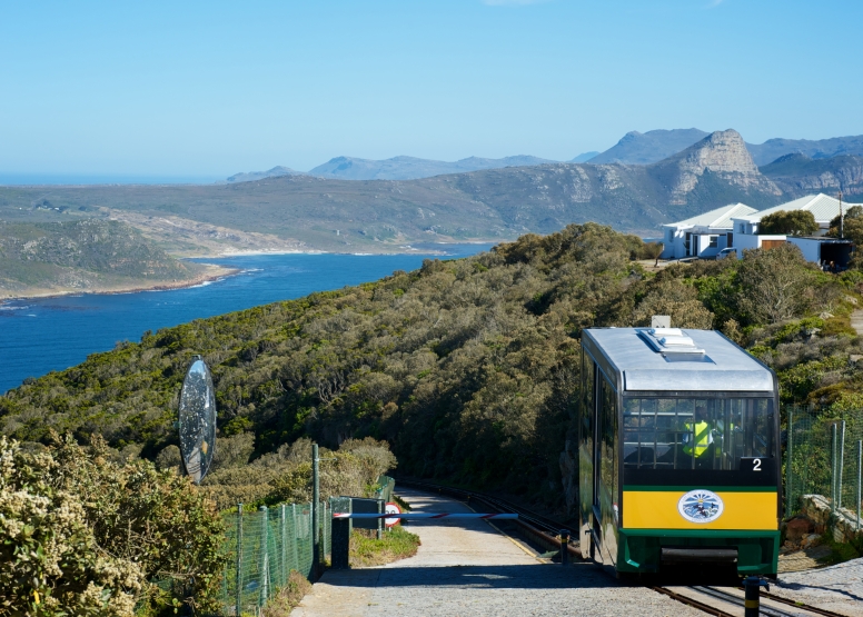 Cape Point Funicular - One Way Ticket - Down image 8