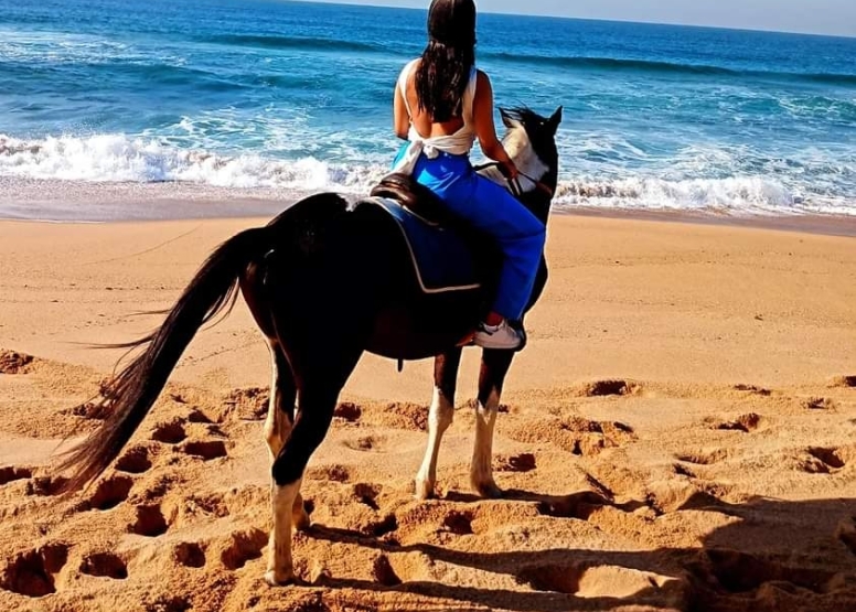 30 Minute Beach Horse Ride Ballito image 3