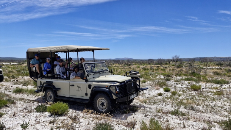 Morning Game Drive Yzerfontein image 5