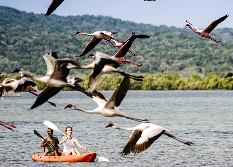 2 Hour Kosi Bay Kayaking Adventure - Afternoon image 1