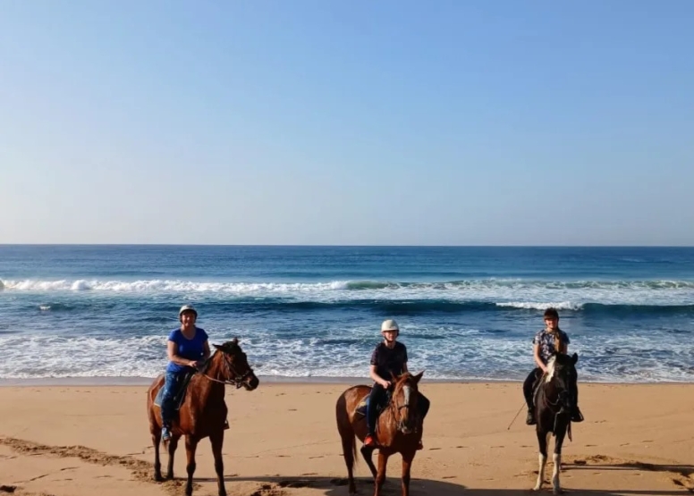 30 Minute Beach Horse Ride Ballito image 9