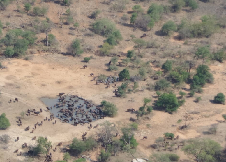 Game Viewing Scenic Flight image 4