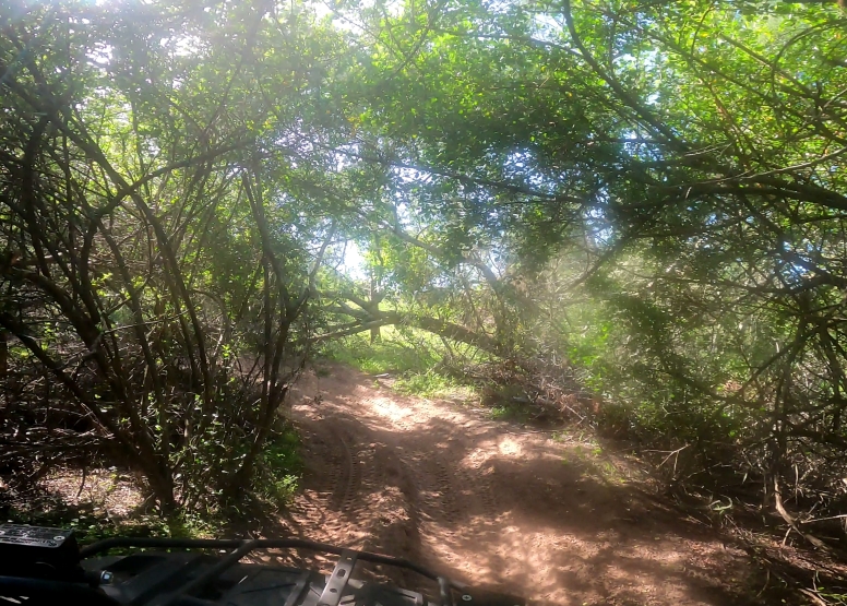 11km Quad Bike Ride Oudtshoorn image 14