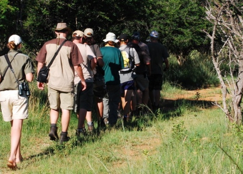 Bush Walk in the Kruger National Park image 2
