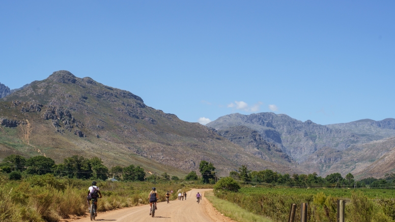 Franschhoek Half Day Winelands EBike Tour image 2