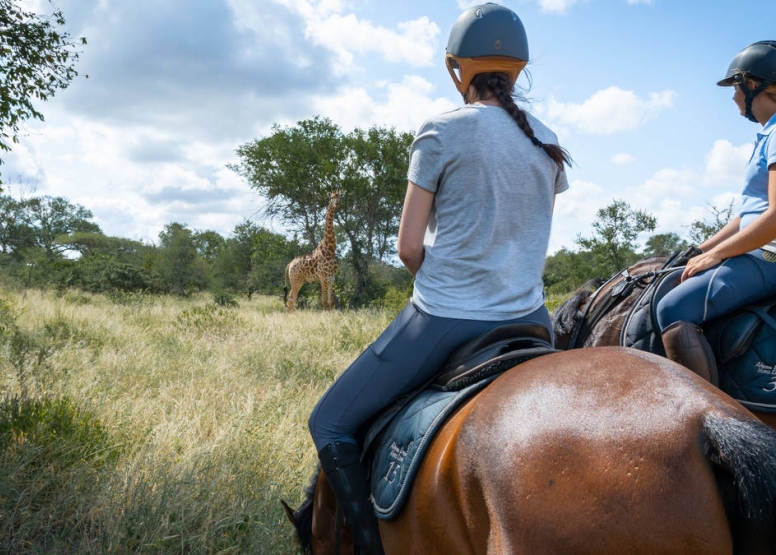 1 Hour Horseback Trail Hoedspruit image 3