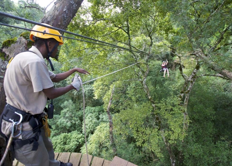 Drakensberg Canopy Tour image 2