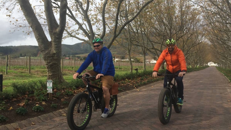 Vinebikes Stellenbosch - Half Day E-Bike Vine Tour image 2
