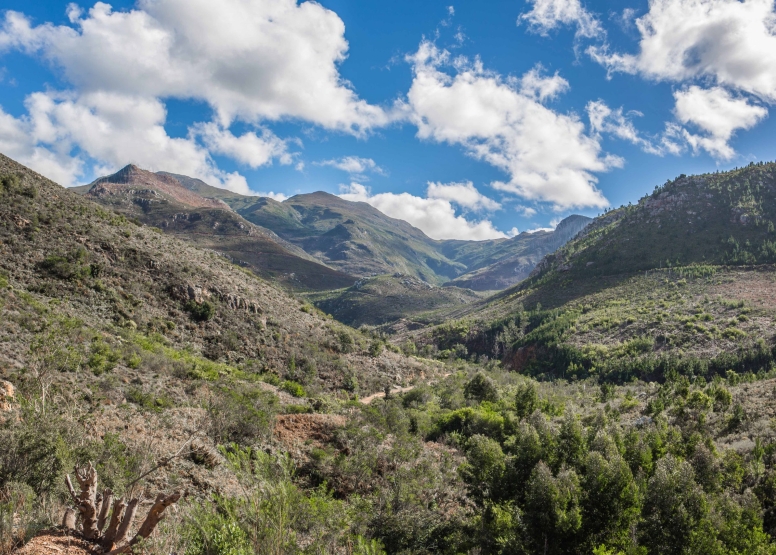 Quad Bike Trails Hermanus image 7