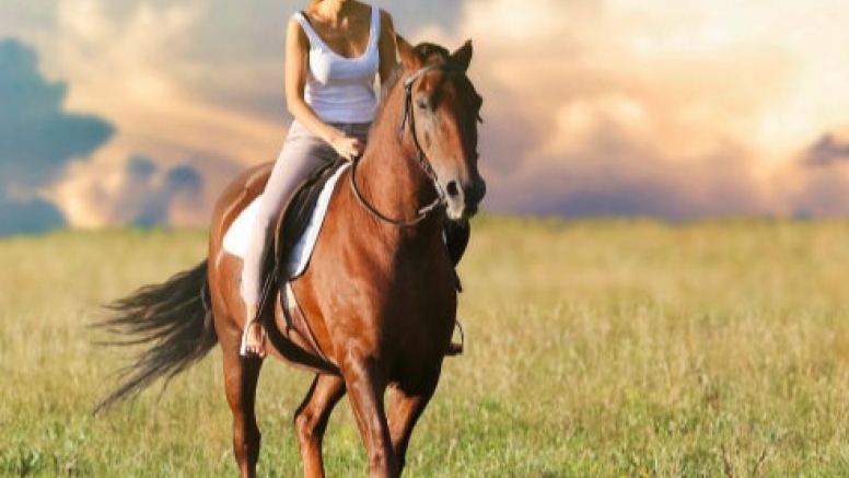 Horseback Riding at Cullinan image 11