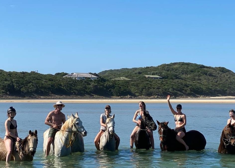 Full Day Beach Horse Ride image 7