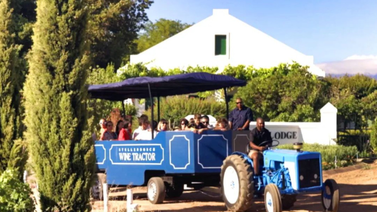 Stellenbosch Wine Tractor Hop On Hop Off Experience image 1