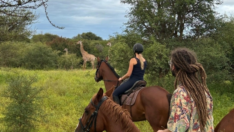1 Hour Horseback Trail Safari Hoedspruit image 1