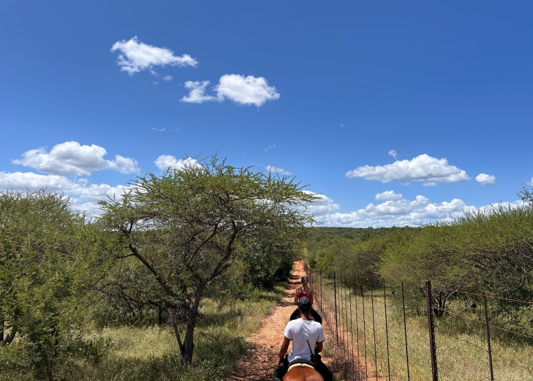 1 Hour Horseback Trail Safari Hoedspruit image 9