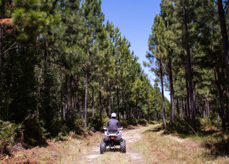 1 Hour Quad Bike Tour Tsitsikamma National Park image 2