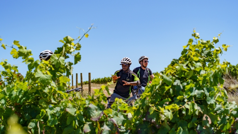 Stellenbosch Winelands Luxury EBike Cycle Tour image 2