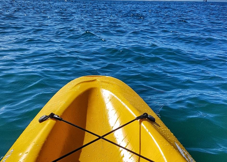 Penguin Kayak Paddle image 2