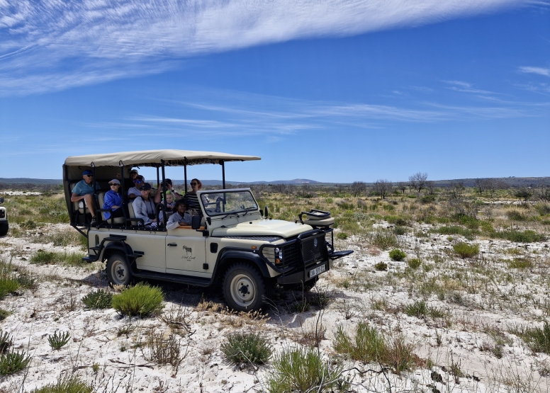 Morning Game Drive Yzerfontein image 5