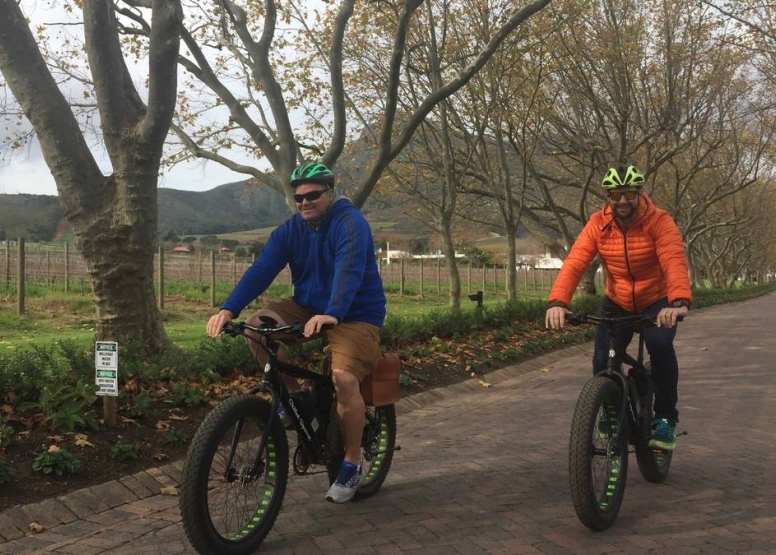 Vinebikes Stellenbosch - Half Day E-Bike Vine Tour image 2