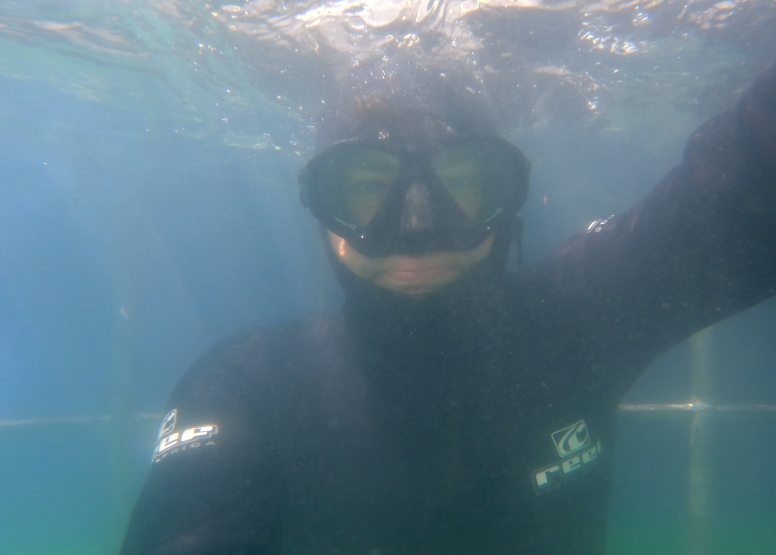 Abseil Shark Cage Diving and Whale Watching Adventure Combo Cape Town image 10
