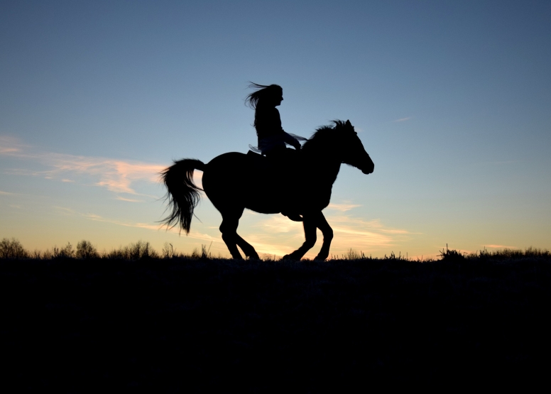 Horseback Riding at Cullinan image 8