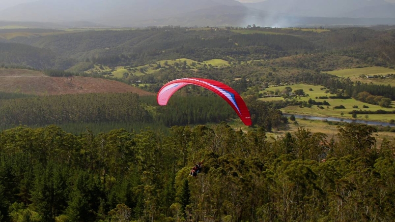 Tandem Paragliding Experience image 6