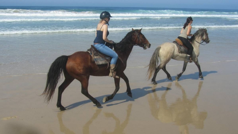 Beach Horse Trail Beginners image 4