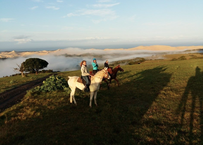 Kariega River Horse Ride image 3