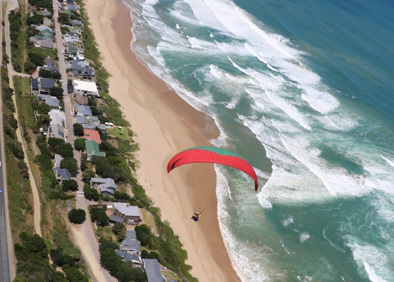 Dolphin Tandem Paragliding Garden Route image 6