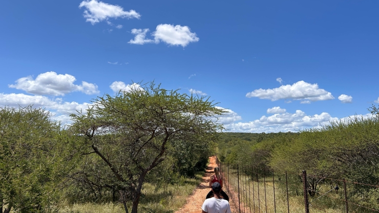 1 Hour Horseback Trail Safari Hoedspruit image 9
