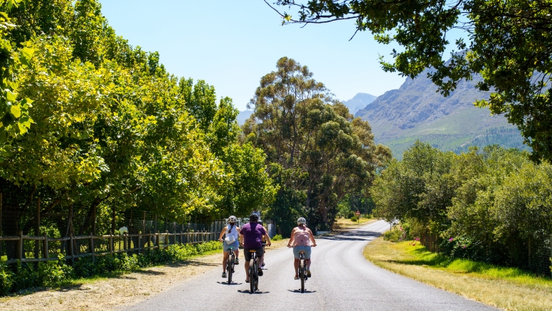 Franschhoek Half Day Winelands EBike Tour image 4