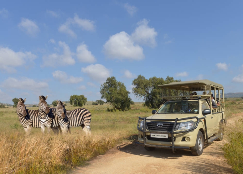 2 Hour Guided Safari Lion & Safari PArk image 6