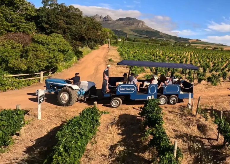 Stellenbosch Wine Tractor Hop On Hop Off Experience image 2