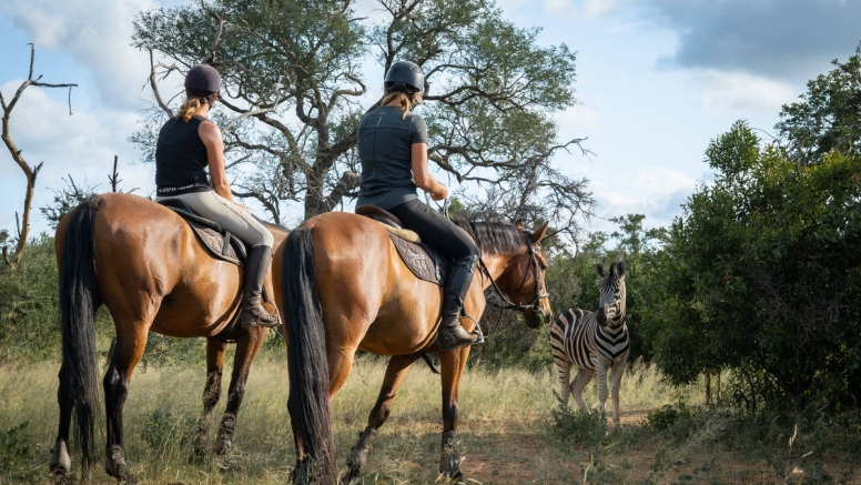 1 Hour Horseback Trail Hoedspruit image 2