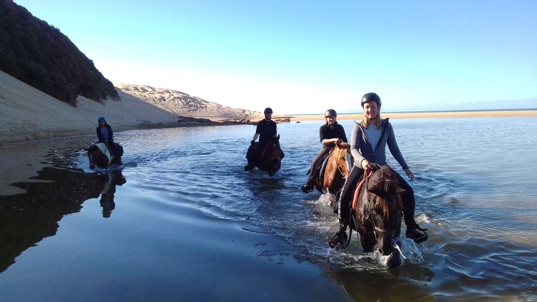 Full Day Beach Horse Ride image 8