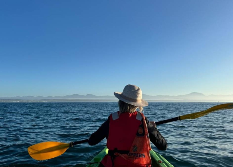 Kayak Adventures Mossel Bay image 9