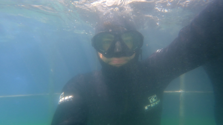 Abseil Shark Cage Diving and Whale Watching Adventure Combo Cape Town image 10