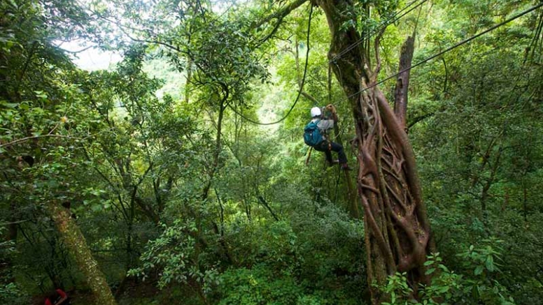 Karkloof Canopy Tour image 5