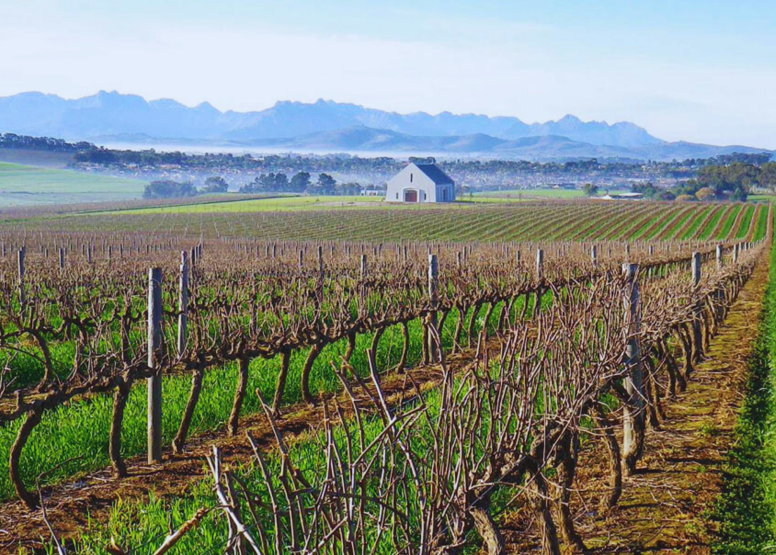 Wine Safari Tour-Northern Line image 10