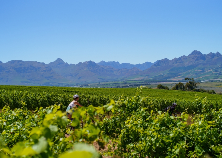 Stellenbosch Half Day Winelands EBike Tour image 1