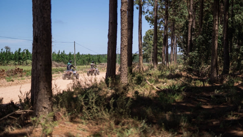 1 Hour Quad Bike Tour Tsitsikamma National Park image 6