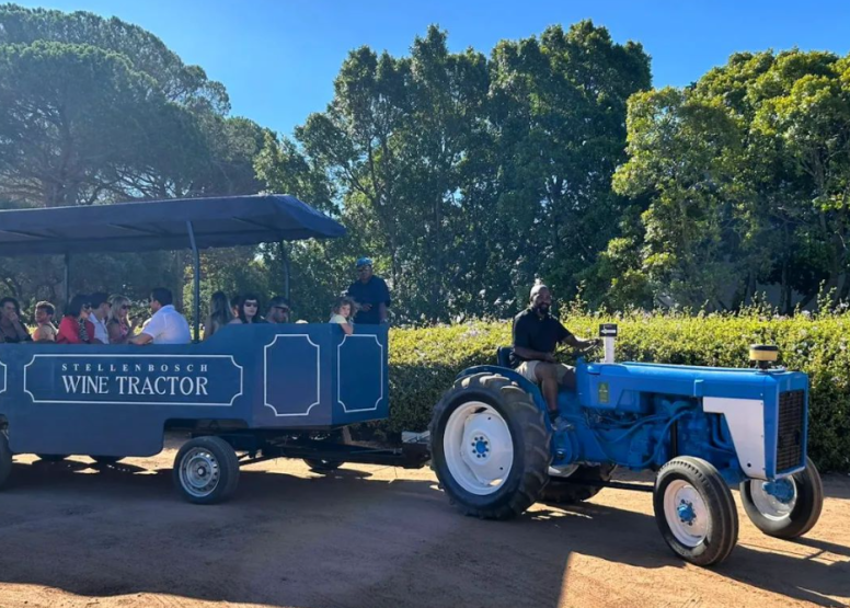 Stellenbosch Wine Tractor Hop On Hop Off Experience image 5