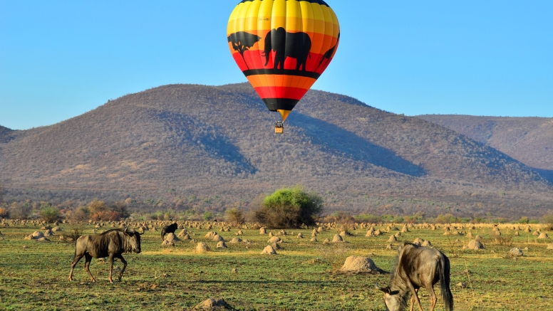 Pilanesberg Hot Air Balloon Safari image 2