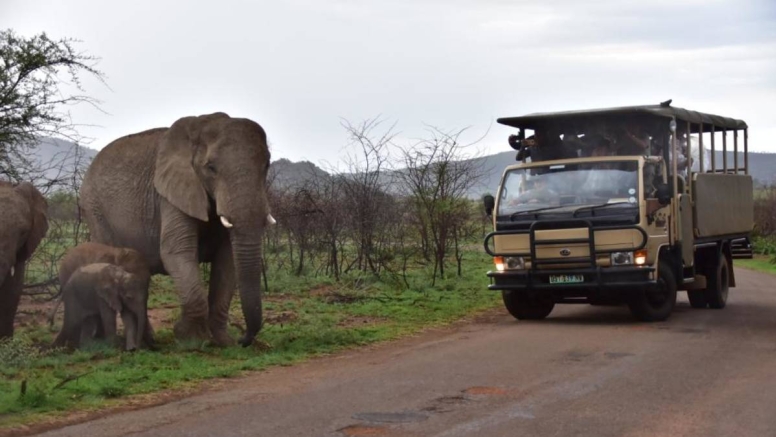 Scheduled Game Drive Manyane Gate Pilanesberg Game Reserve image 2